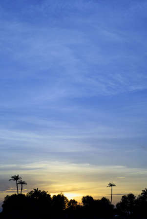 Tropical sunset background, vertical の写真素材