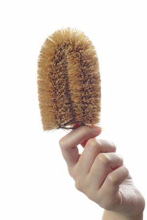 Female hand holding washing scrubber on white の写真素材