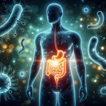 Human digestive system, 3D illustration. Human digestive system with gut bacteria floating in expanded microscope viewの素材