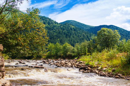 Carpathians mountain riverの写真素材