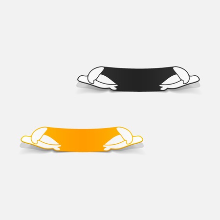 realistic design element: sea turtleのイラスト素材