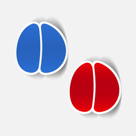 realistic design element: brain. Vector Illustrationのイラスト素材