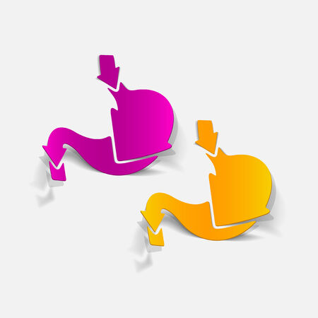 realistic design element: stomach, medicalのイラスト素材