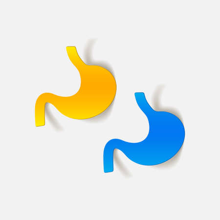 realistic design element: stomach, medicalのイラスト素材