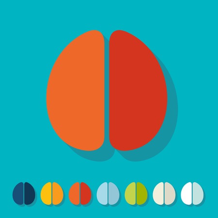 Flat design: brainのイラスト素材