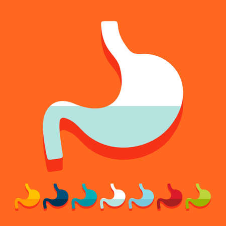 Flat design: stomachのイラスト素材