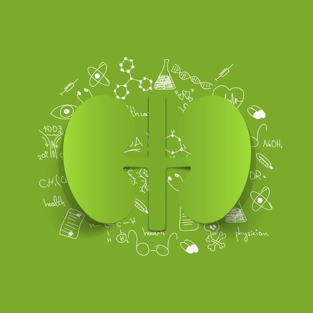 Drawing medical formulas: kidneysのイラスト素材