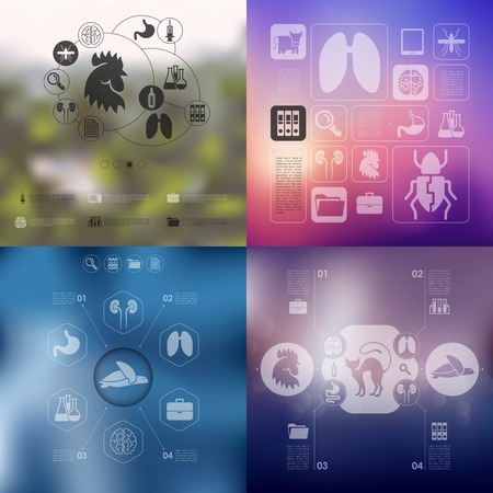 veterinary infographic with unfocused backgroundのイラスト素材