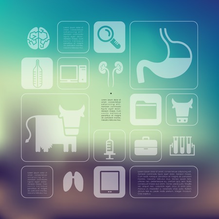veterinary infographic with unfocused backgroundのイラスト素材