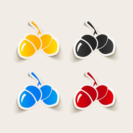 realistic design element: acornsのイラスト素材