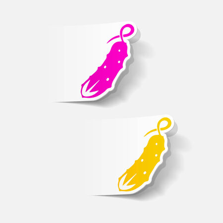 realistic design element: cucumberのイラスト素材