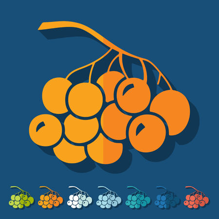 Flat design: berriesのイラスト素材