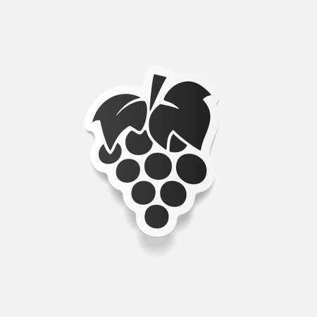 realistic design element: grapesのイラスト素材