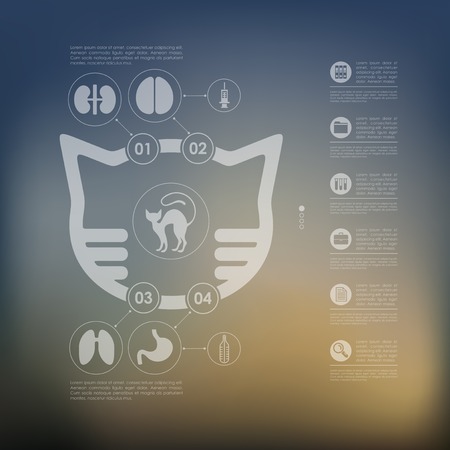 veterinary infographic with unfocused backgroundのイラスト素材