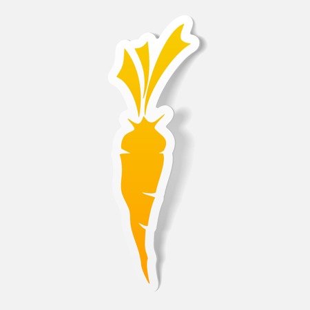 realistic design element: carrotsのイラスト素材