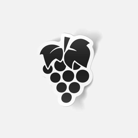 realistic design element: grapesのイラスト素材