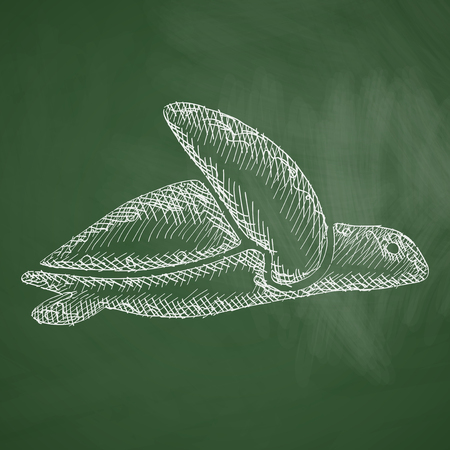 turtle iconのイラスト素材