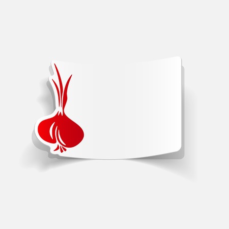 realistic design element: onionのイラスト素材