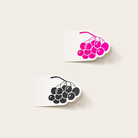 realistic design element: berriesのイラスト素材