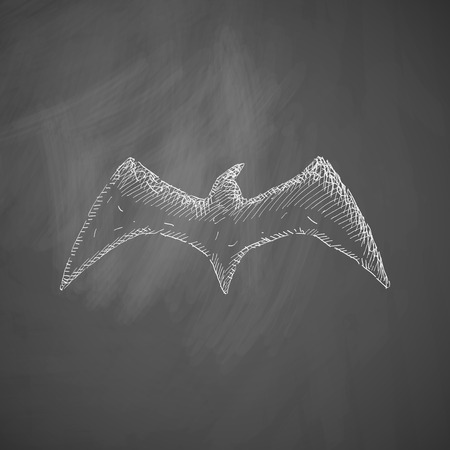 bird iconのイラスト素材