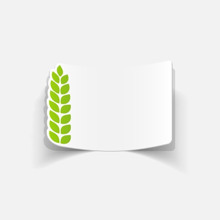 realistic design element: ears of wheatのイラスト素材