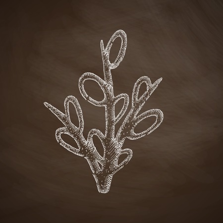 willow iconのイラスト素材