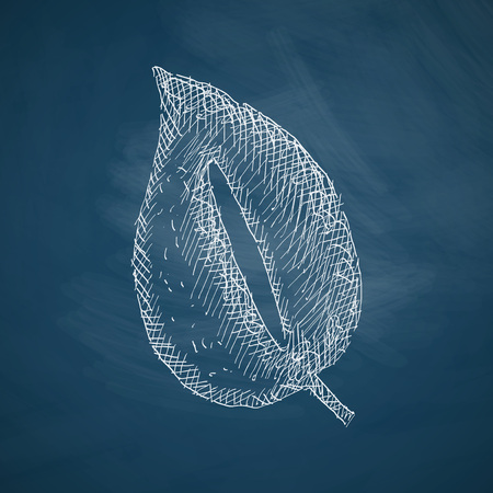 leaf iconのイラスト素材