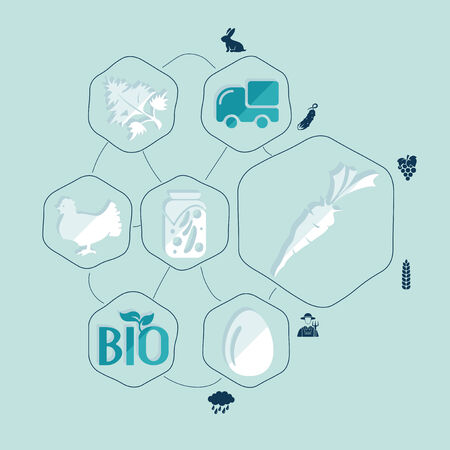 agriculture flat infographicのイラスト素材