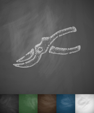 pruner icon. Hand drawn illustration on Chalkboardのイラスト素材