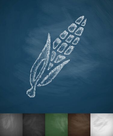 corn icon. Hand drawn illustration on Chalkboardのイラスト素材