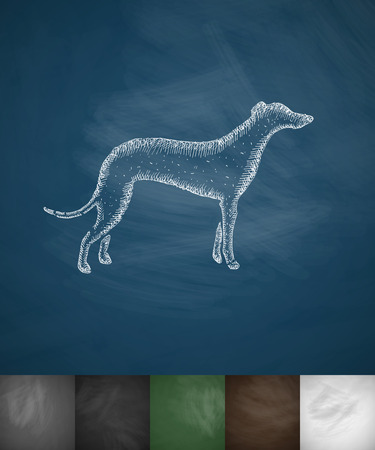 greyhound icon. Hand drawn illustration on Chalkboardのイラスト素材