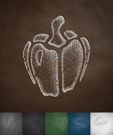 paprika icon. Hand drawn vector illustration. Chalkboard Designのイラスト素材
