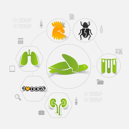 veterinary sticker infographicのイラスト素材