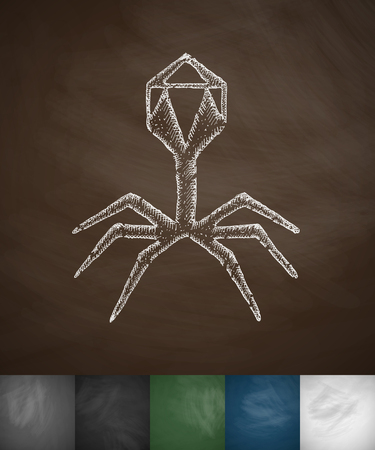 organisms icon. Hand drawn vector illustration. Chalkboard Designのイラスト素材