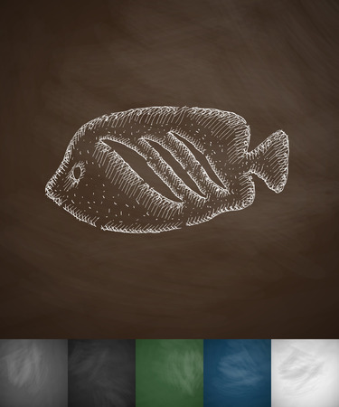 fish icon. Hand drawn vector illustration. Chalkboard Designのイラスト素材