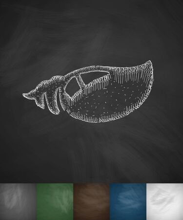 clam icon. Hand drawn vector illustration. Chalkboard Designのイラスト素材