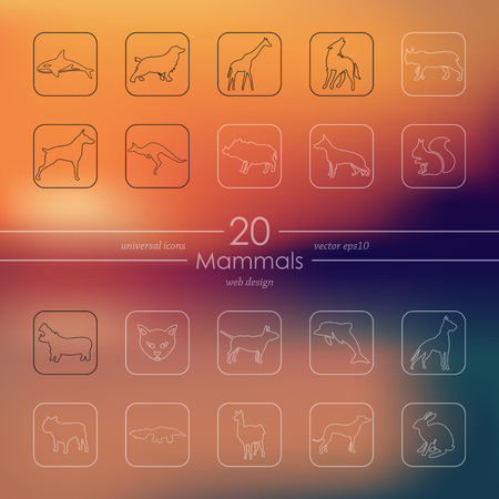 mammals modern icons for mobile interface on blurred backgroundのイラスト素材