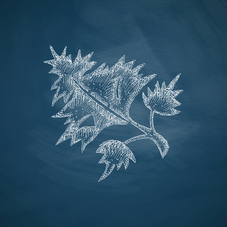 dill iconのイラスト素材