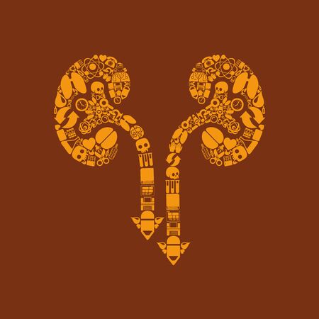 kidneys iconのイラスト素材