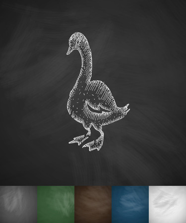 goose icon. Hand drawn vector illustration. Chalkboard Designのイラスト素材