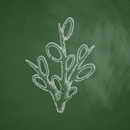 willow iconのイラスト素材