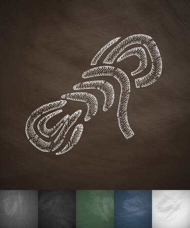 rope icon. Hand drawn vector illustration. Chalkboard Designのイラスト素材