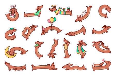 Cute cartoon long dachshund dog. Puppy wagging tail. Funny pet character. Hand drawn style. Vector drawing. Collection of design elements.のイラスト素材