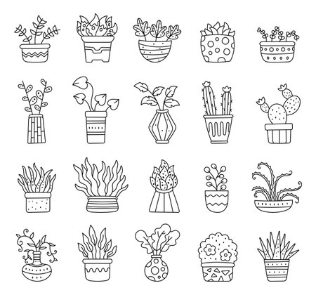 House plant pot set featuring outline line art with botanical interior decoration for your illustration and natural cozy spaces and peaceful home atmosphere and creative designs projectsのイラスト素材