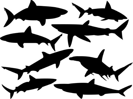 sharks silhouette collection  のイラスト素材