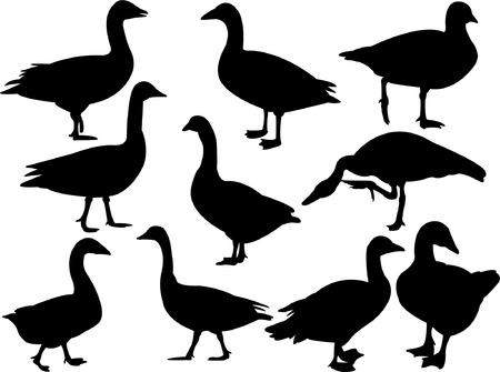 goose silhouette collection vectorのイラスト素材