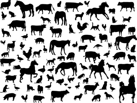 big collection of farm animalsのイラスト素材