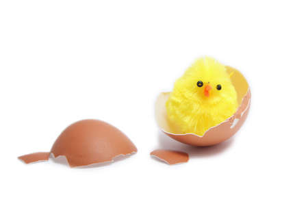 Chickの写真素材