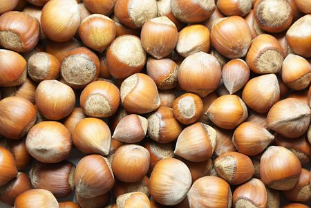 Many nuts with shell; food background