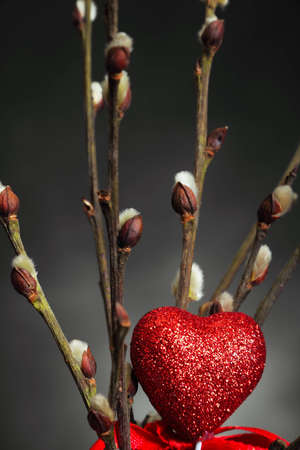 Heart and branchesの写真素材